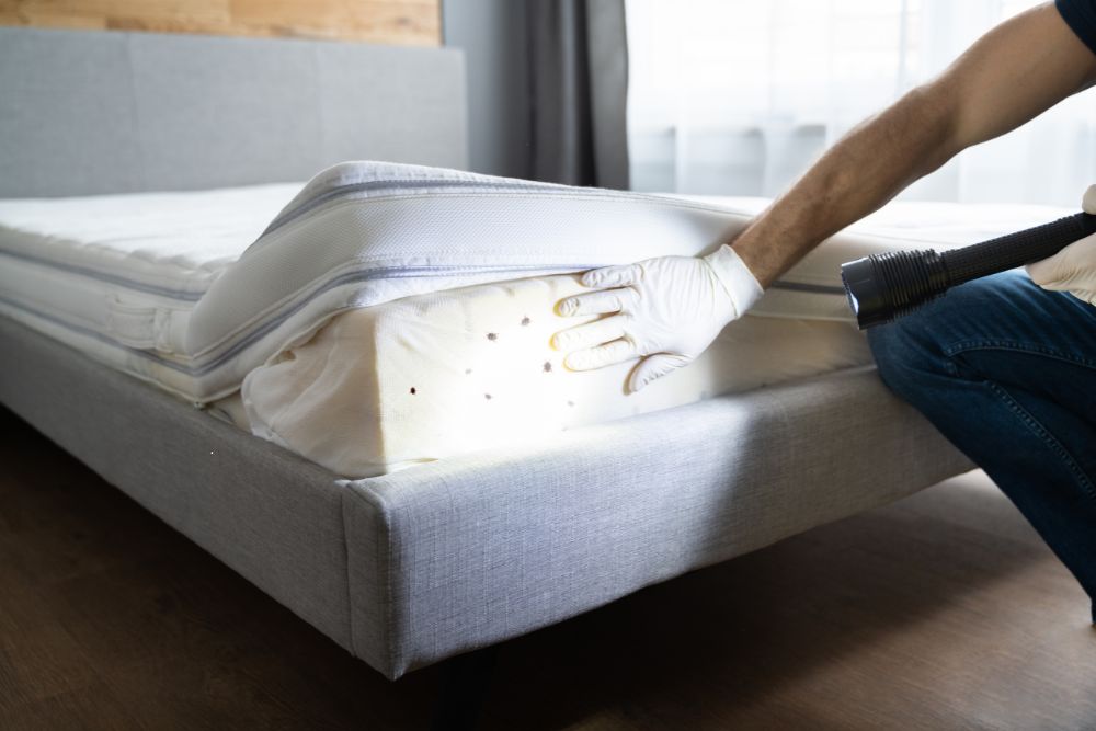 A man operates a vacuum on a mattress, part of a bed bug control service in Houston, TX.