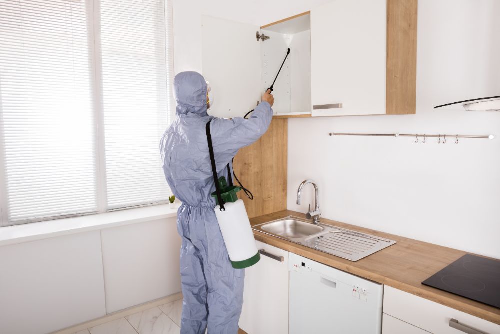 A pest control technician in a protective suit sprays a kitchen to eliminate pests in Houston, TX.